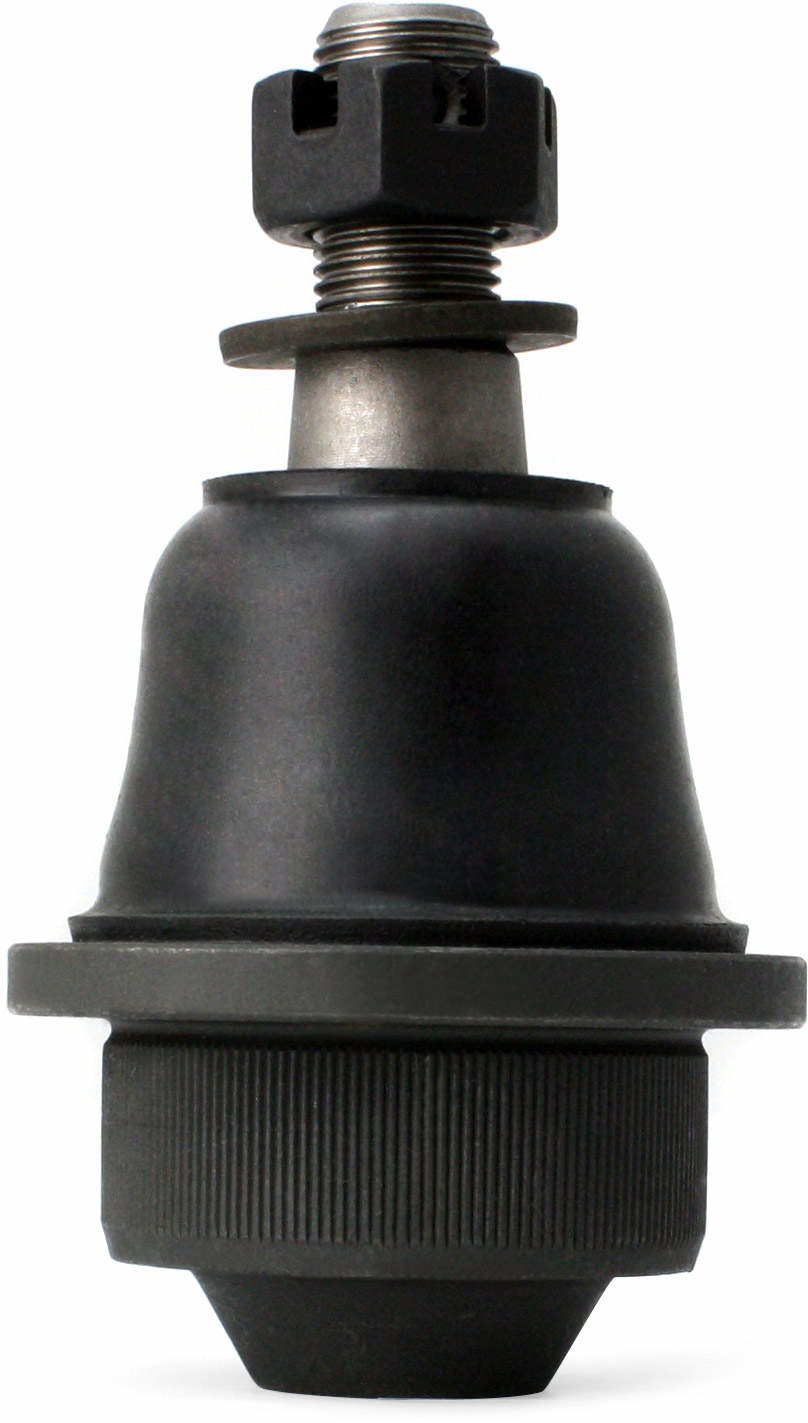 Large 849180000451.pt02