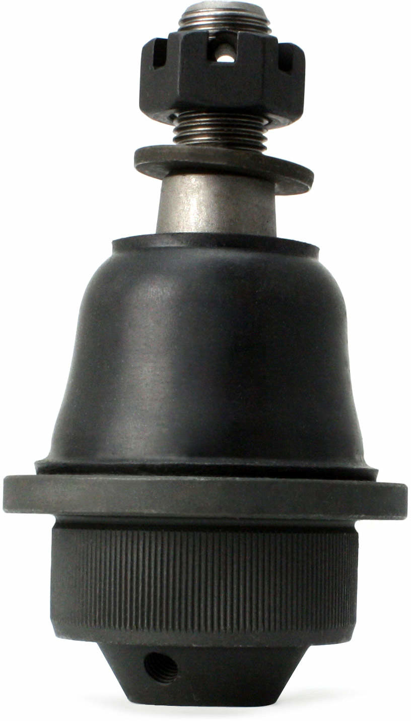 Large 849180000451.pt03