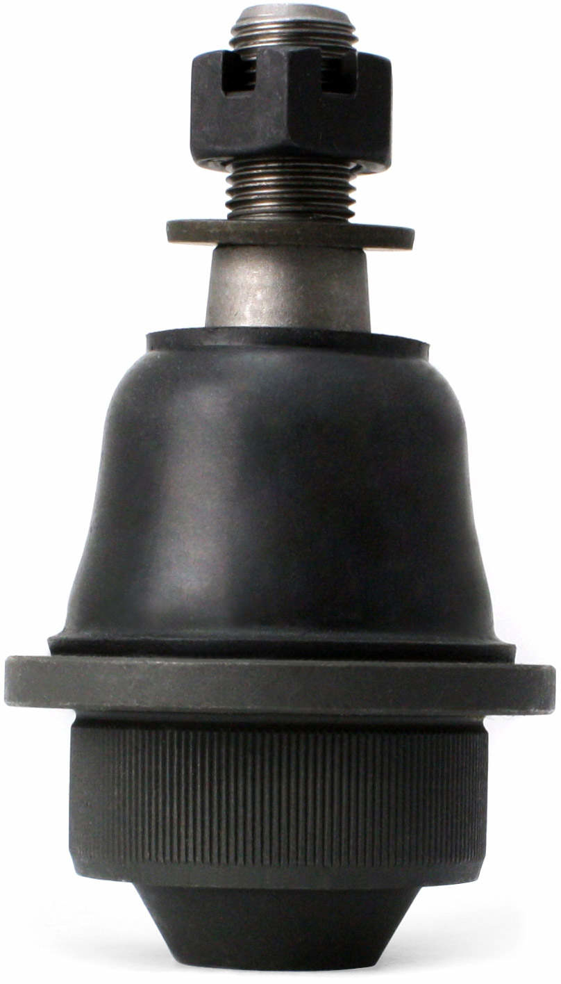 Large 849180000451.pt04