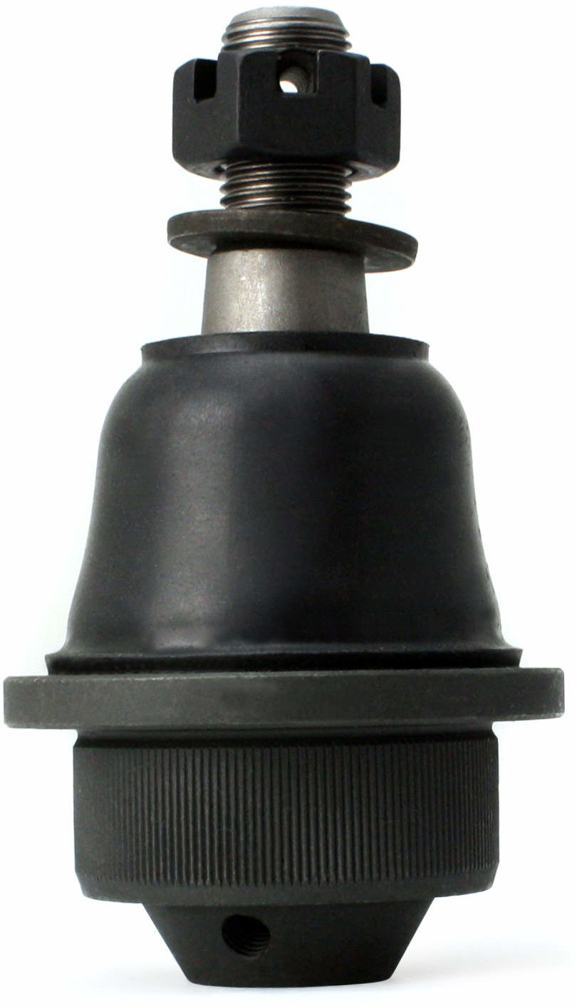 Large 849180000451.pt05