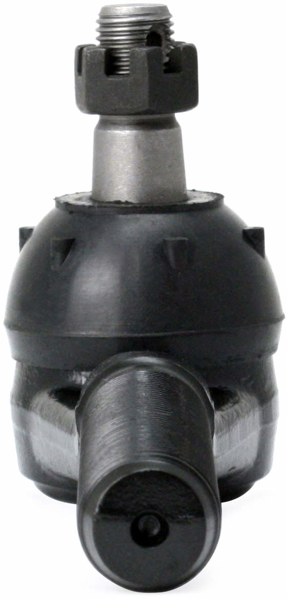 Large 849180007337.pt05