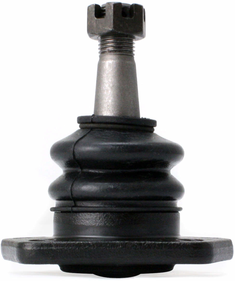 Large 849180002066.pt03