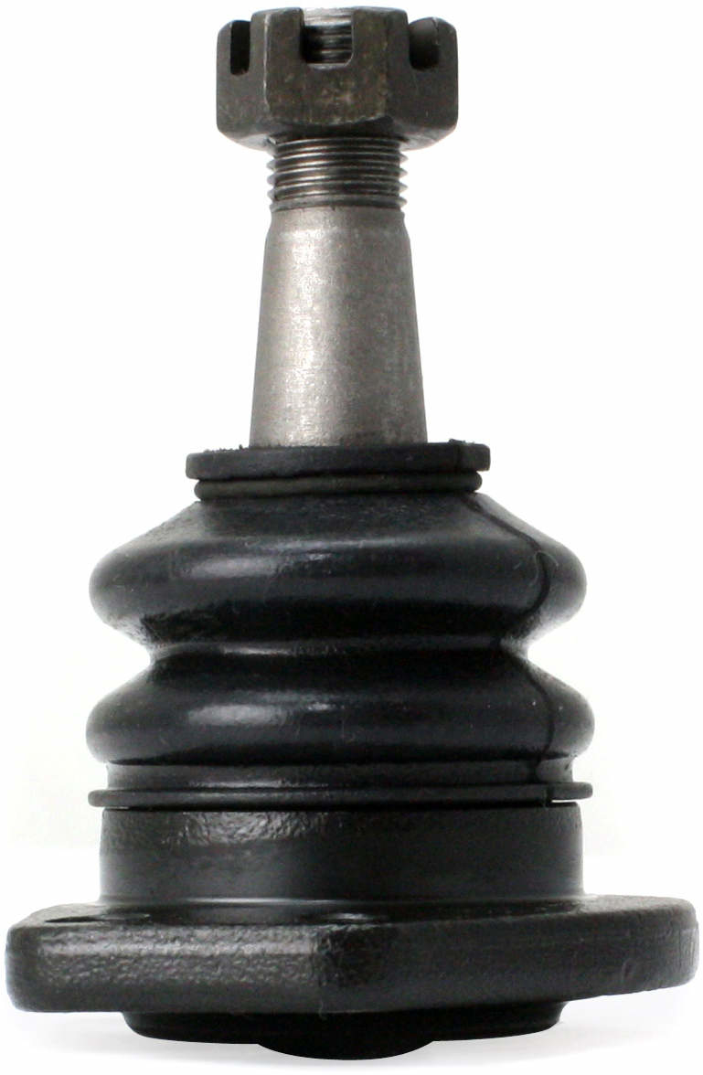 Large 849180002066.pt04