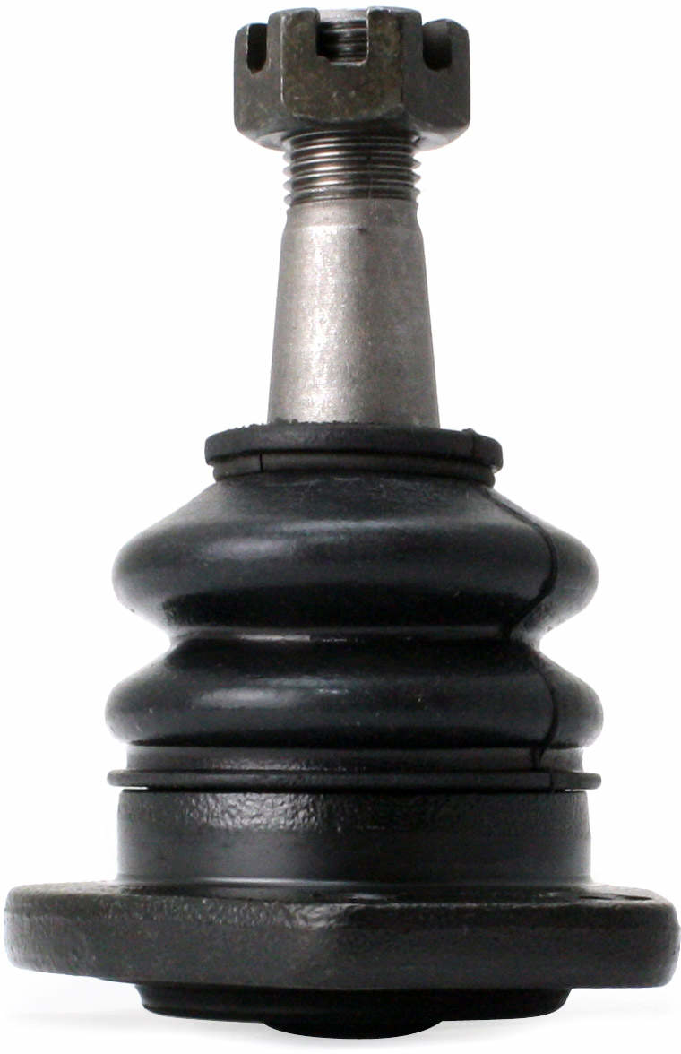 Large 849180002066.pt05