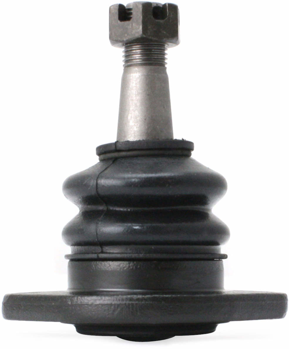 Large 849180002066.pt02