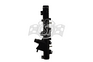 Thumb 3796 4 wm