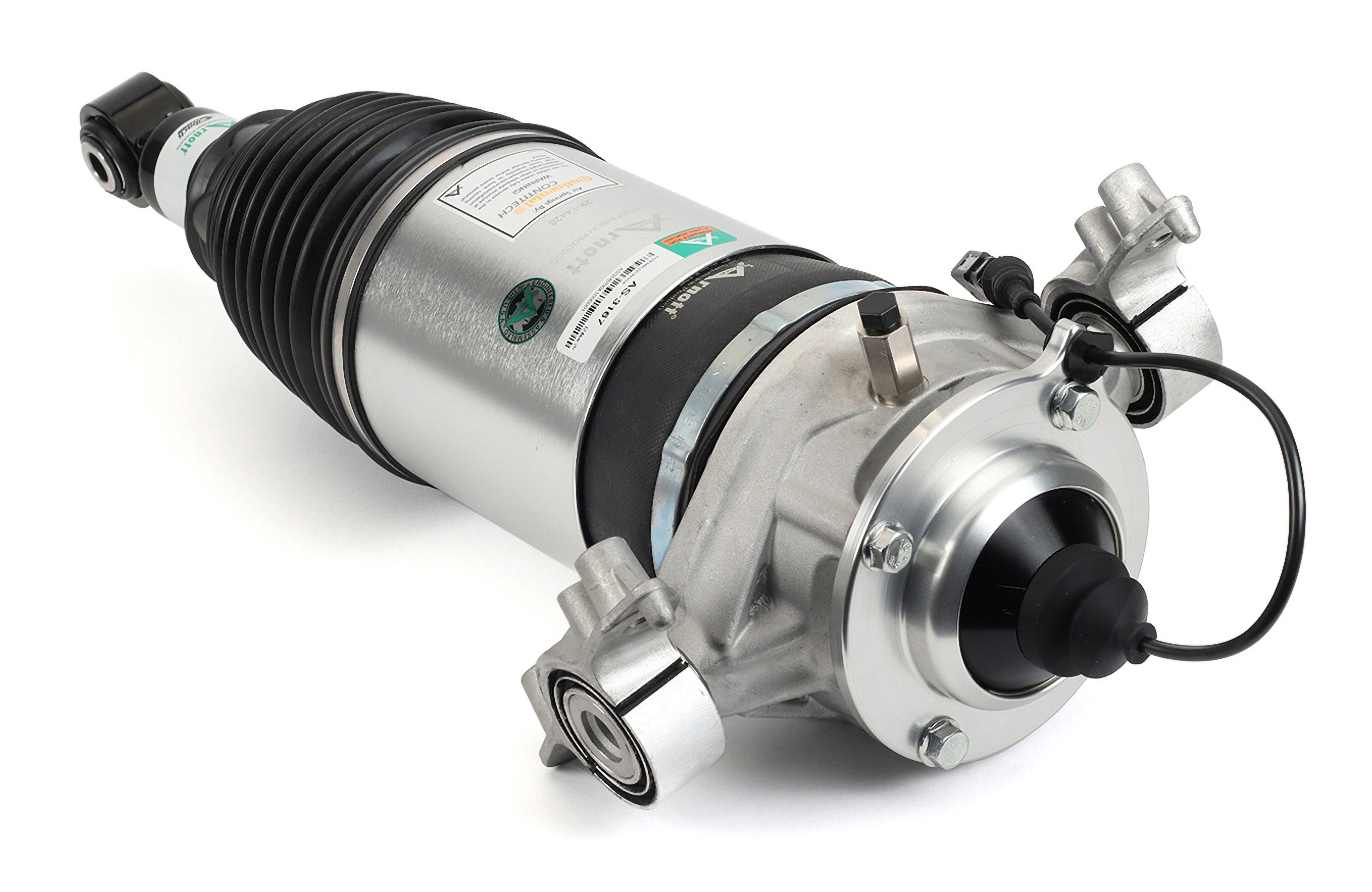 Large as 3167 v1 20220713