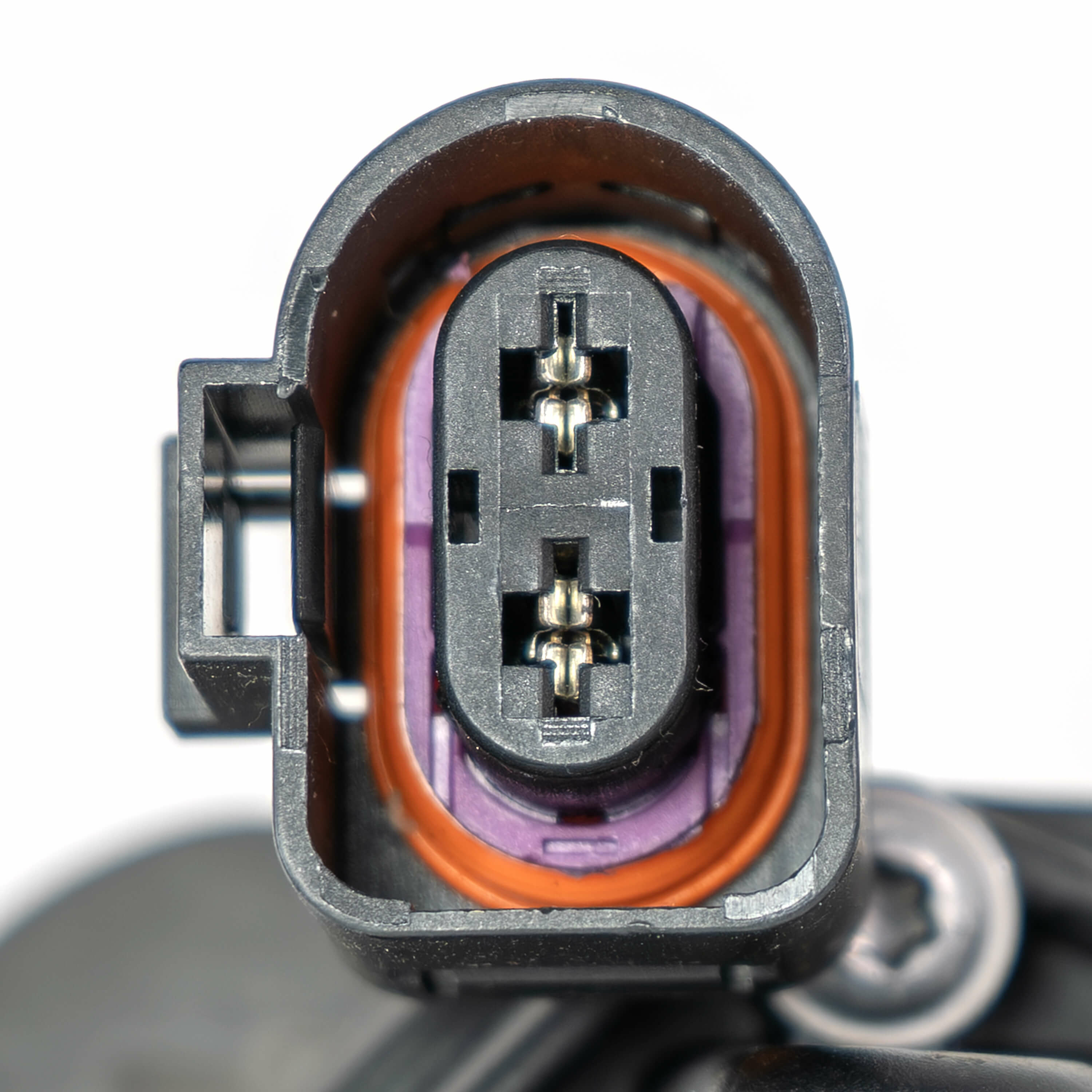 Large p 3880 v3 20260102