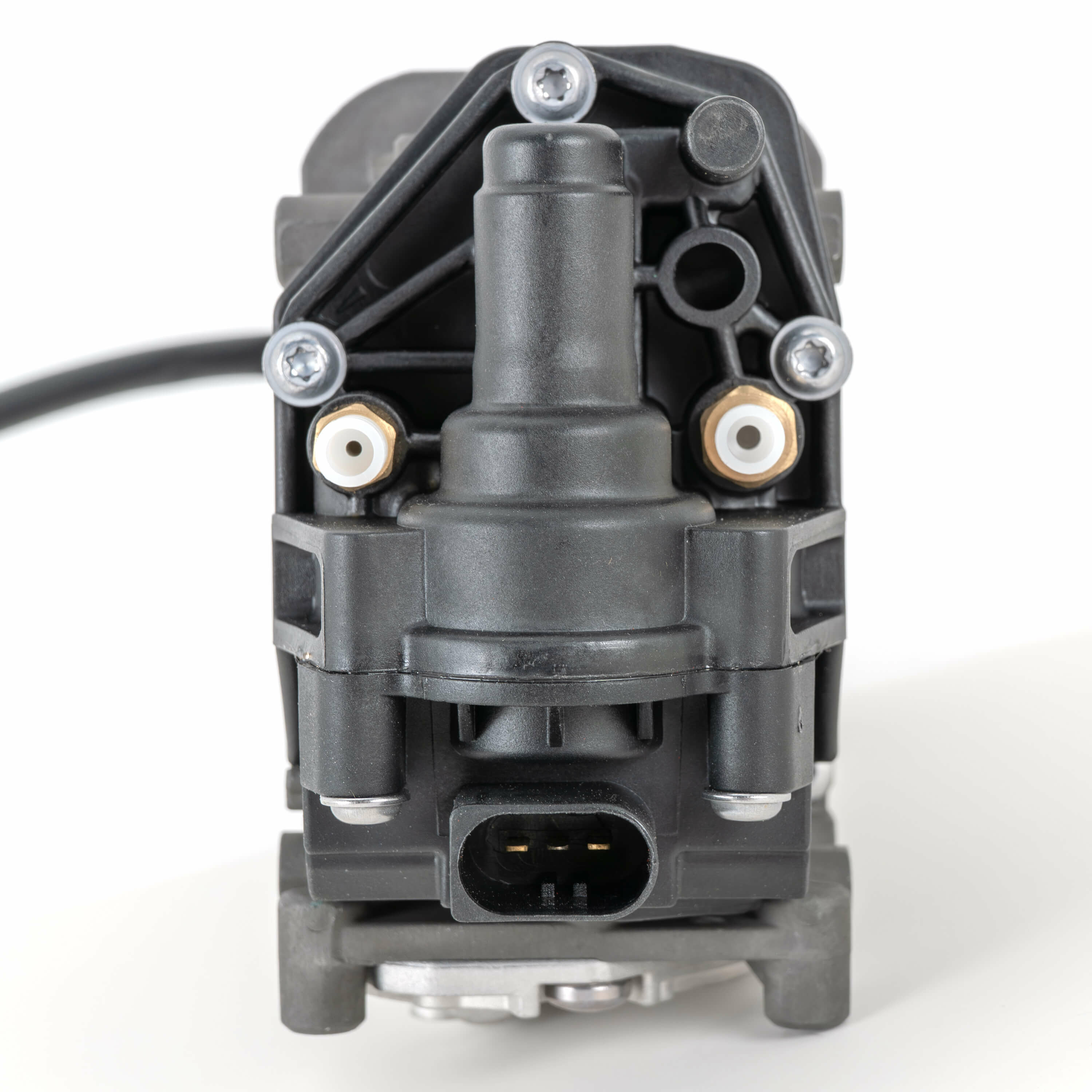 Large p 3484 v3 20260126