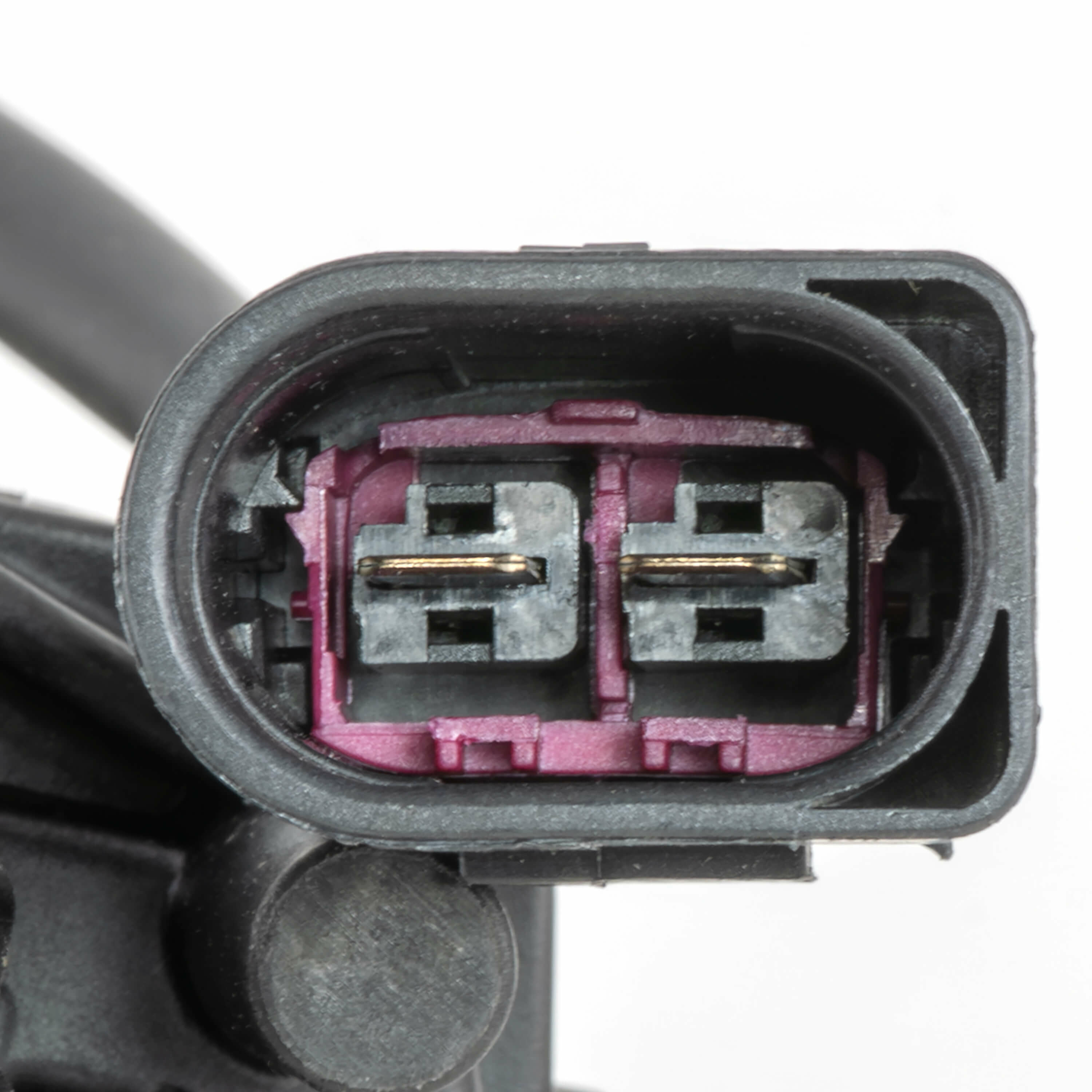 Large p 3484 v6 20260126