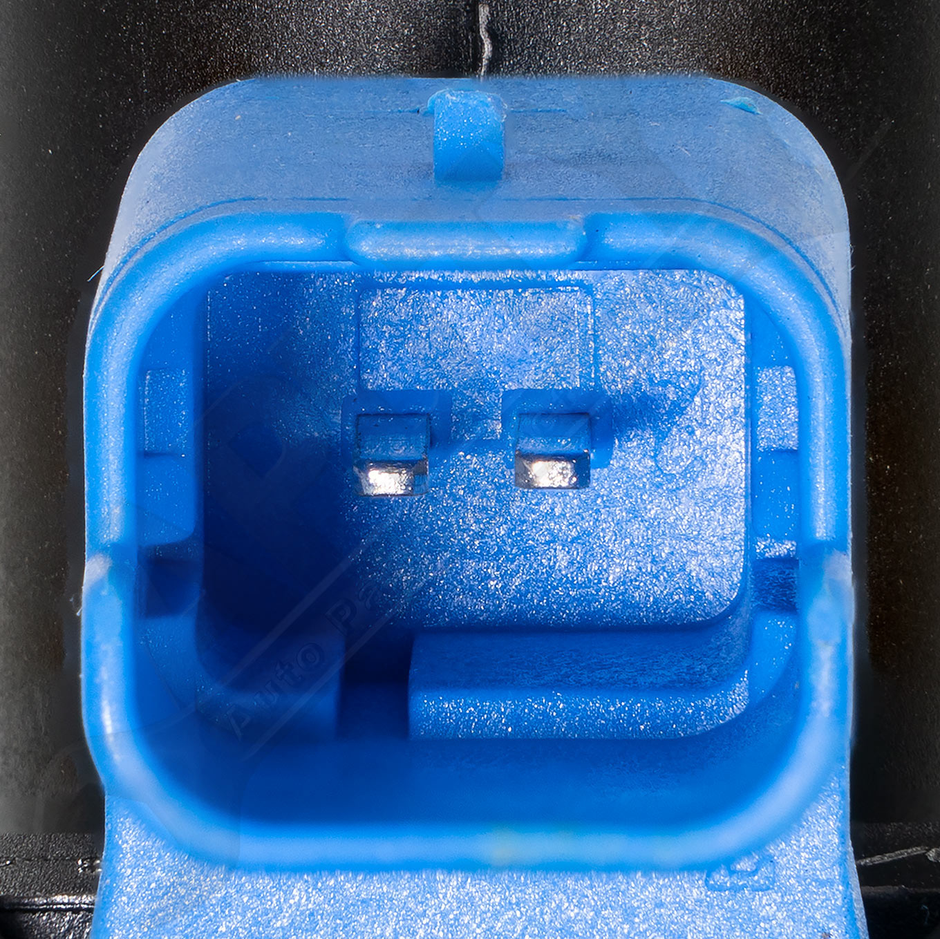 Large apdty 013166 x1 o 3