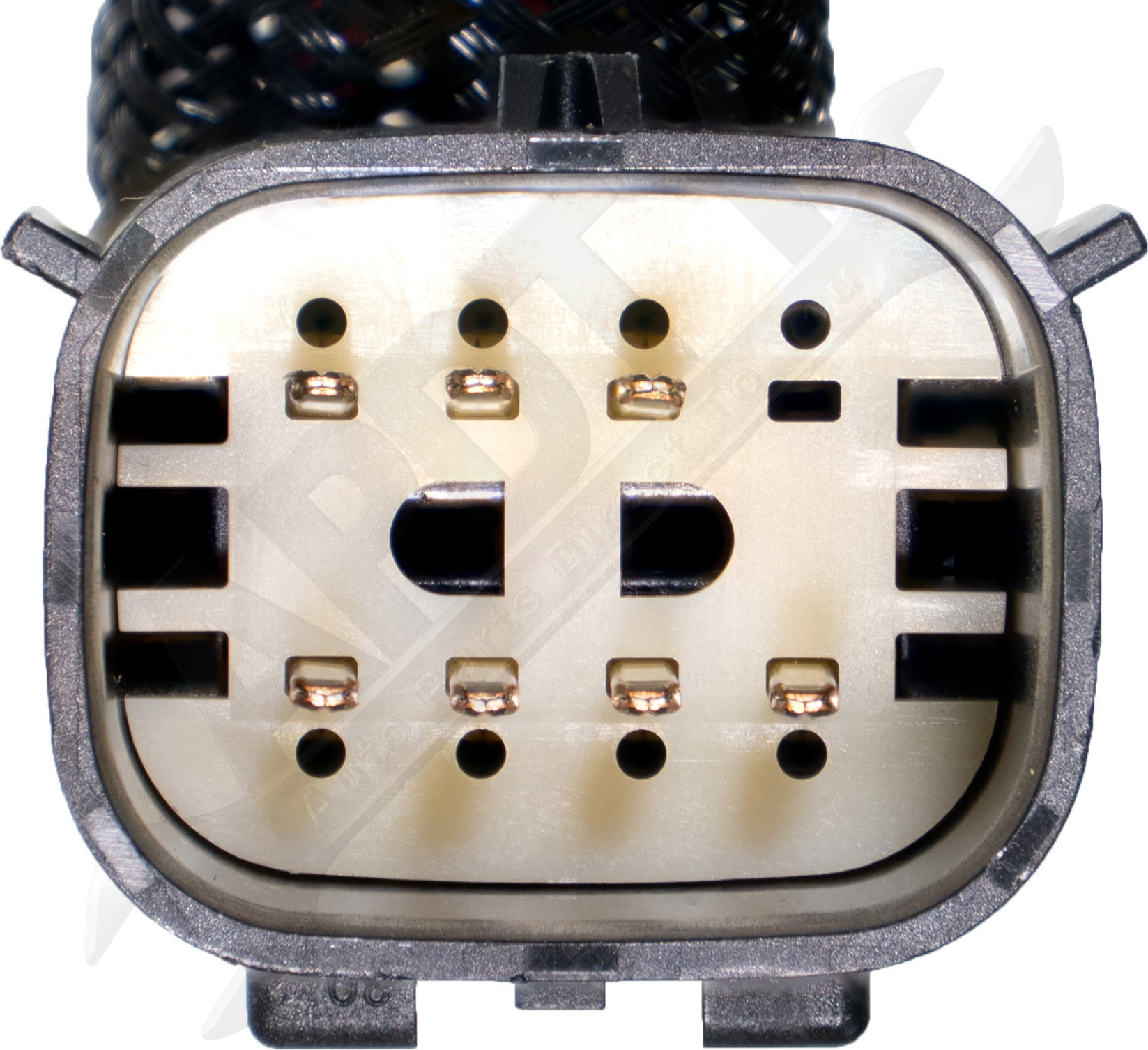 Large apdty 015484 x1 o 2