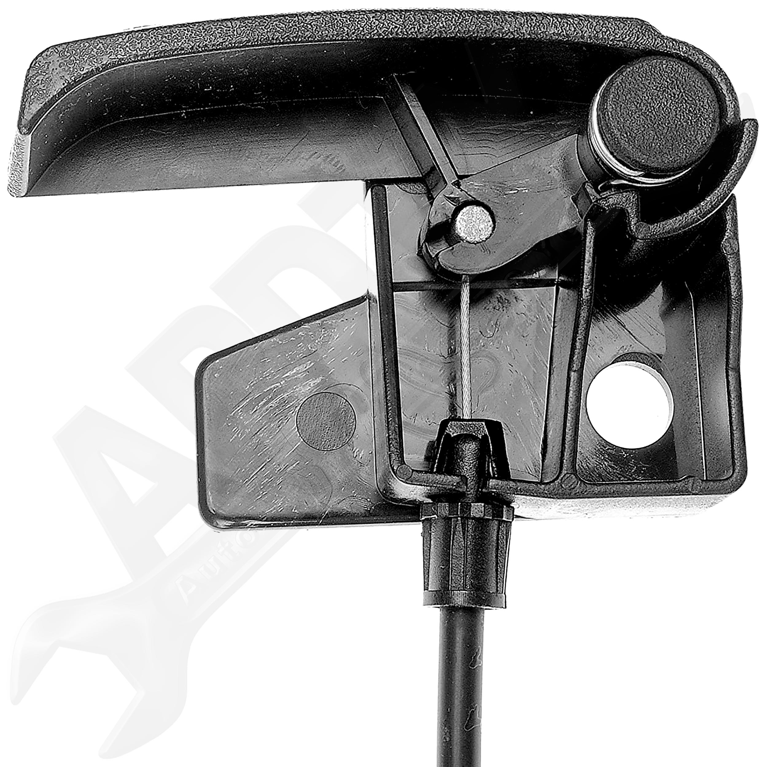 Large apdty 023125 x1 o 2