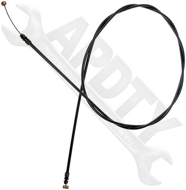 Large apdty 023136 x4 o 1