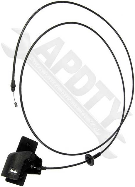 Large apdty 023146 x4 o 1