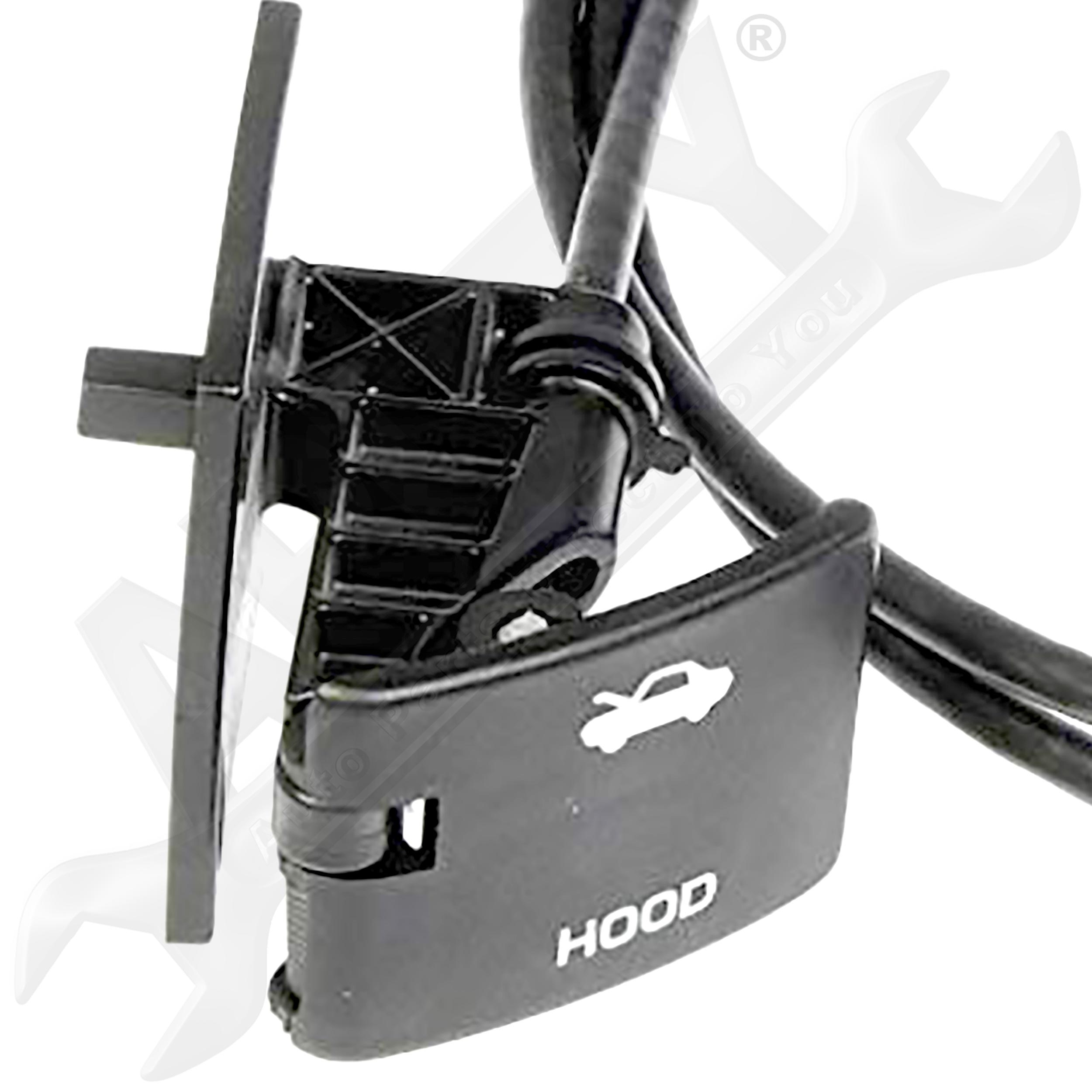 Large apdty 023122 x1 o 2