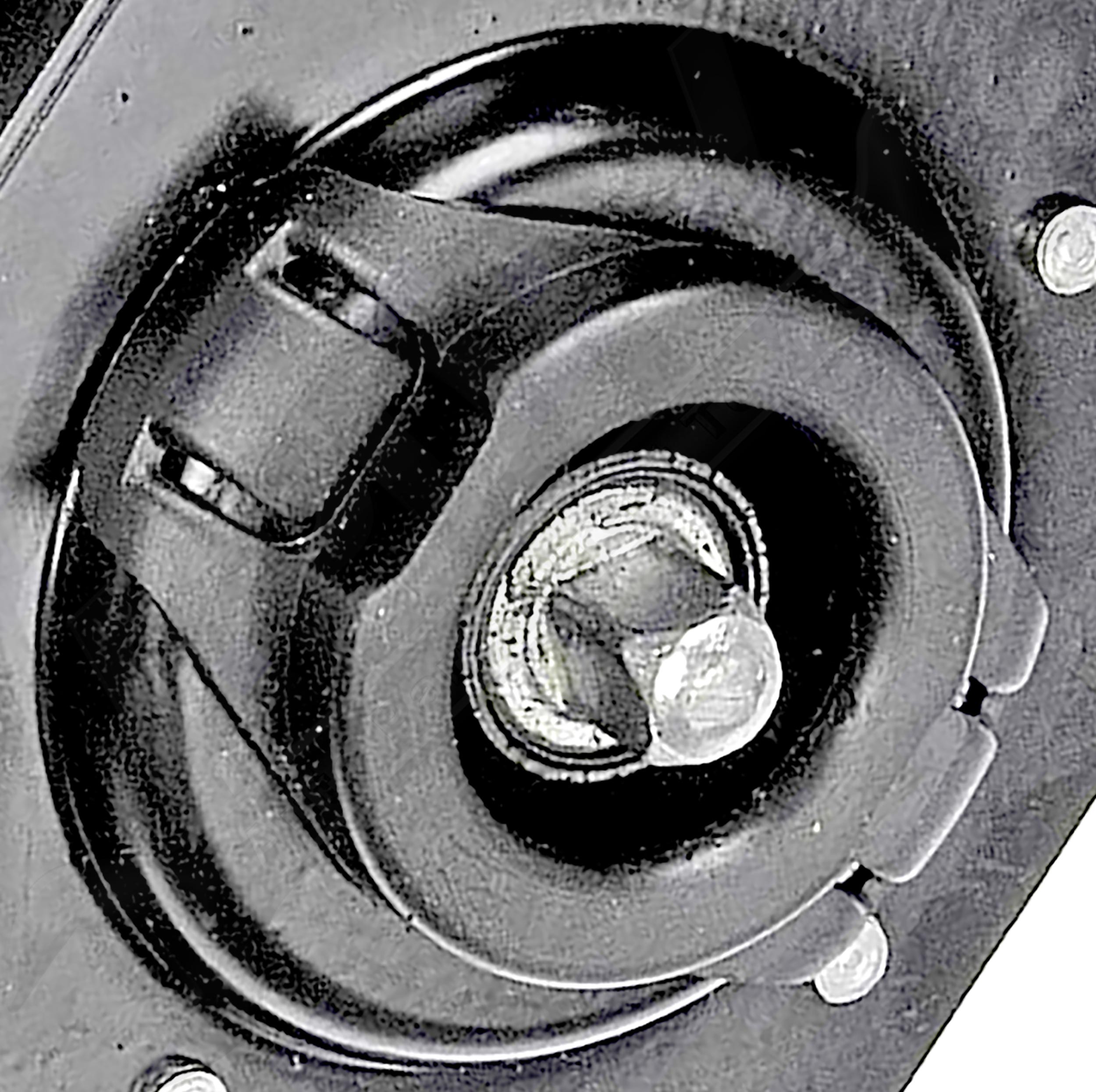 Large apdty 035613 x1 o 4