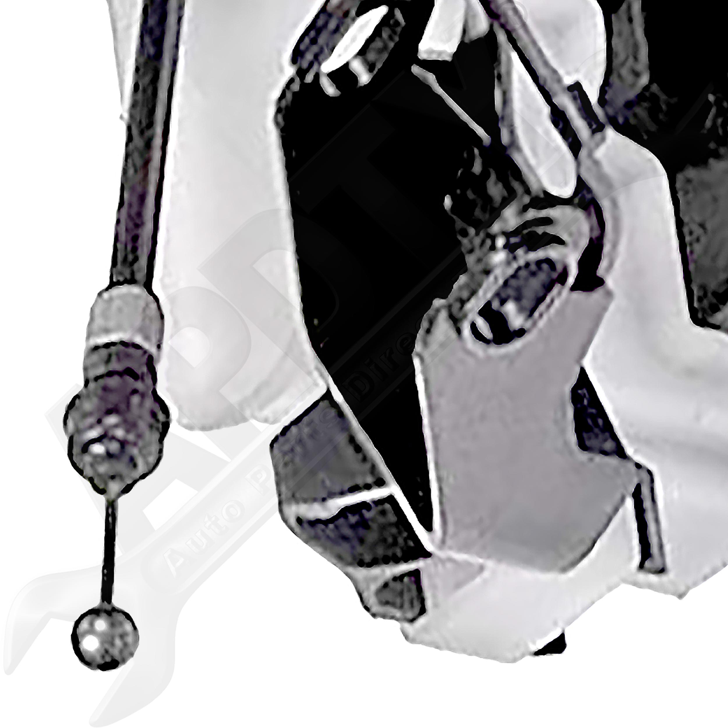 Large apdty 048157 x1 o 4