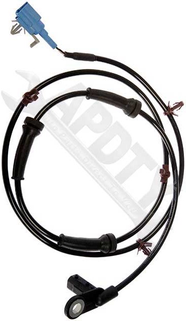 Large apdty 081211 x4 o 1