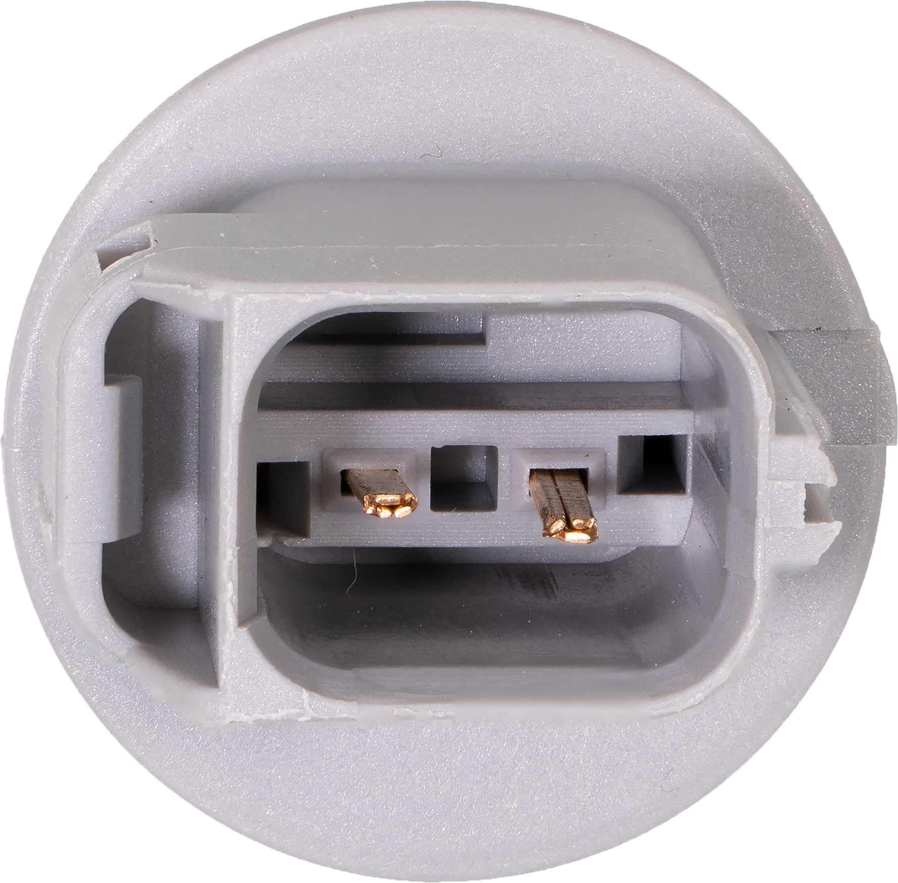 Large apdty 116678 x1 n 2