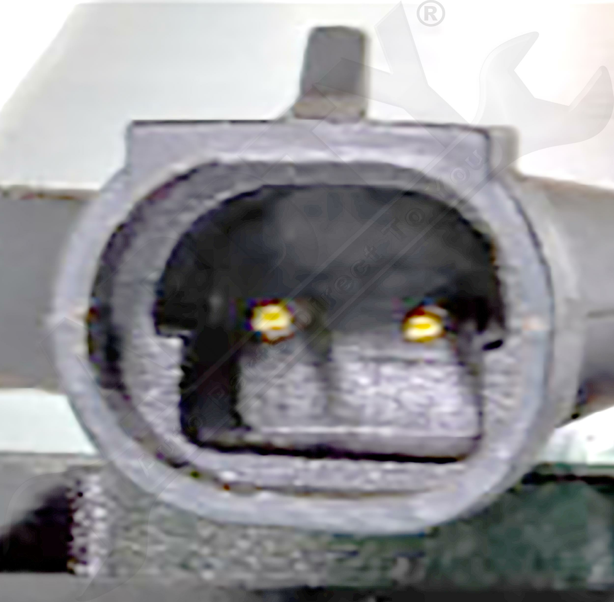 Large apdty 133936 x1 o 2