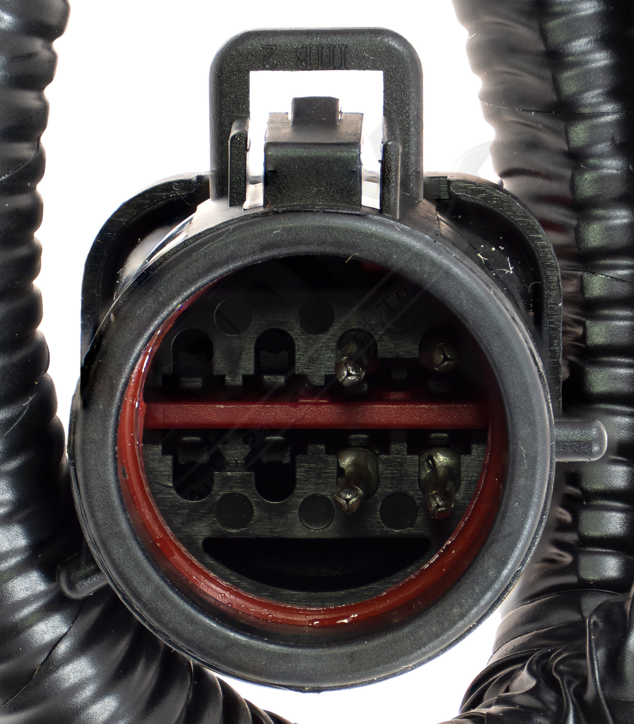 Large apdty 141847 x1 o 2