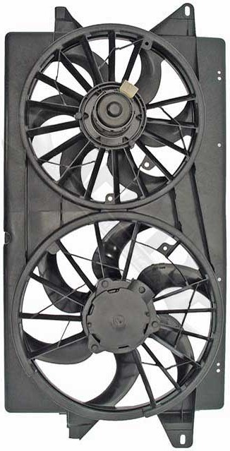 Large apdty 731242 x4 o 1