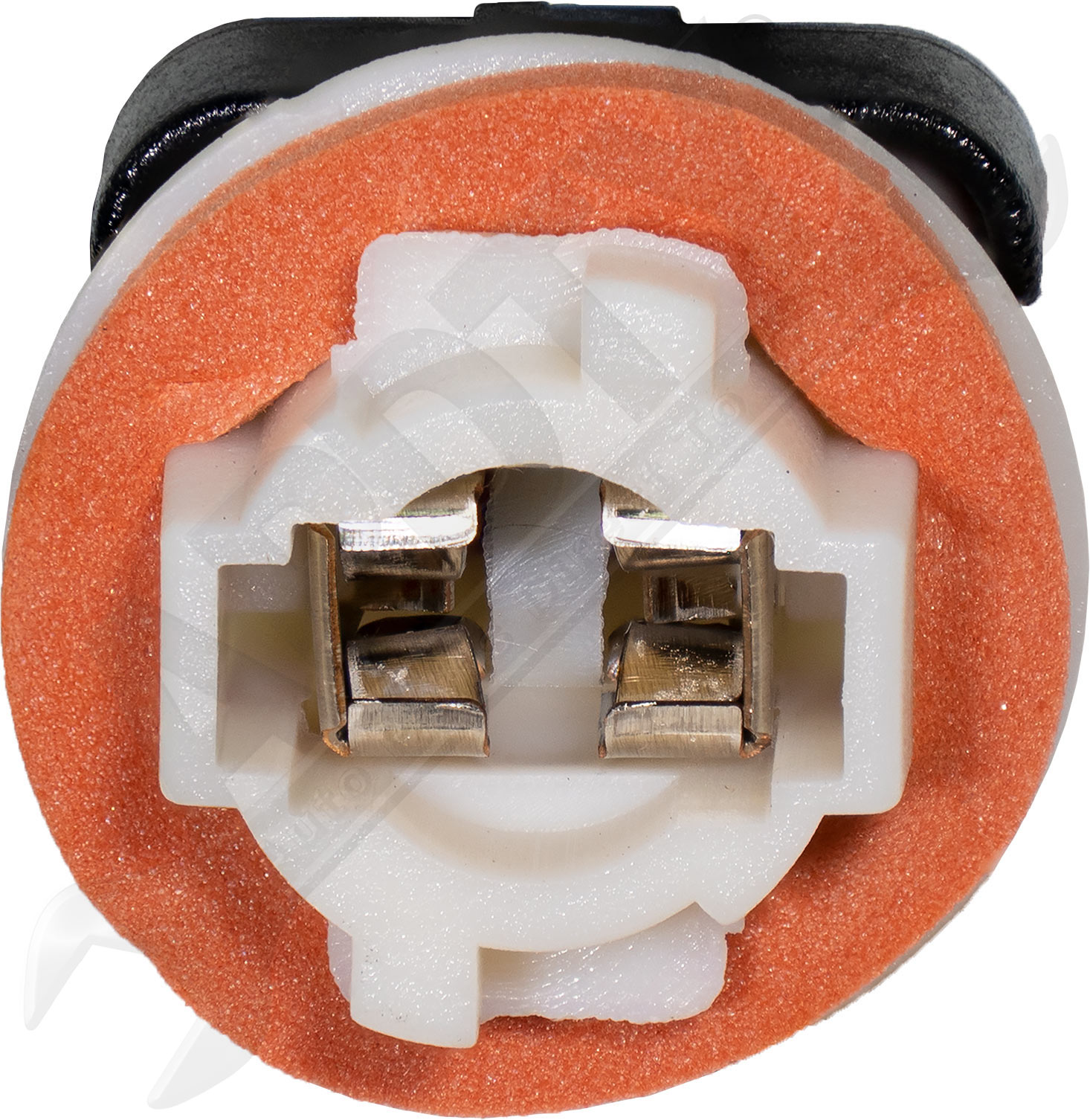 Large apdty 756684 x1 o 2