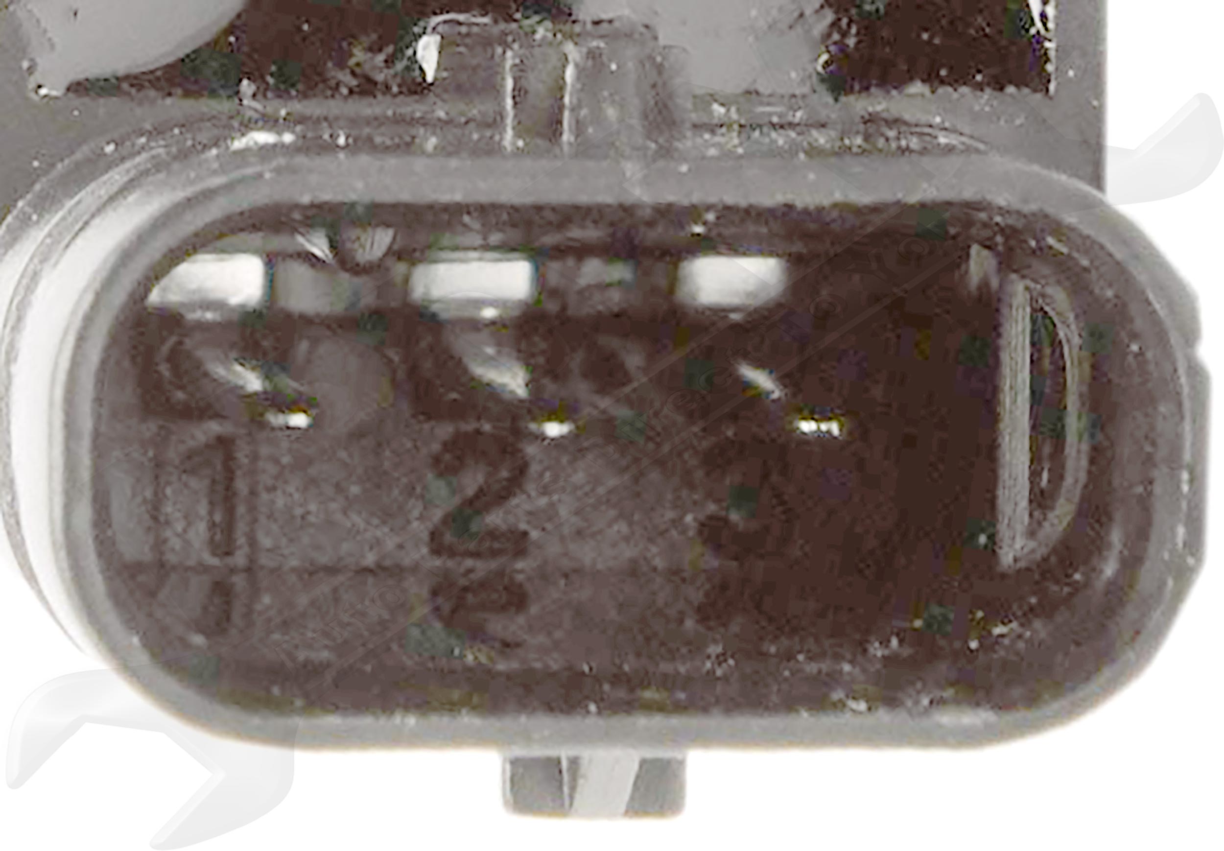 Large apdty 795154 x1 o 2