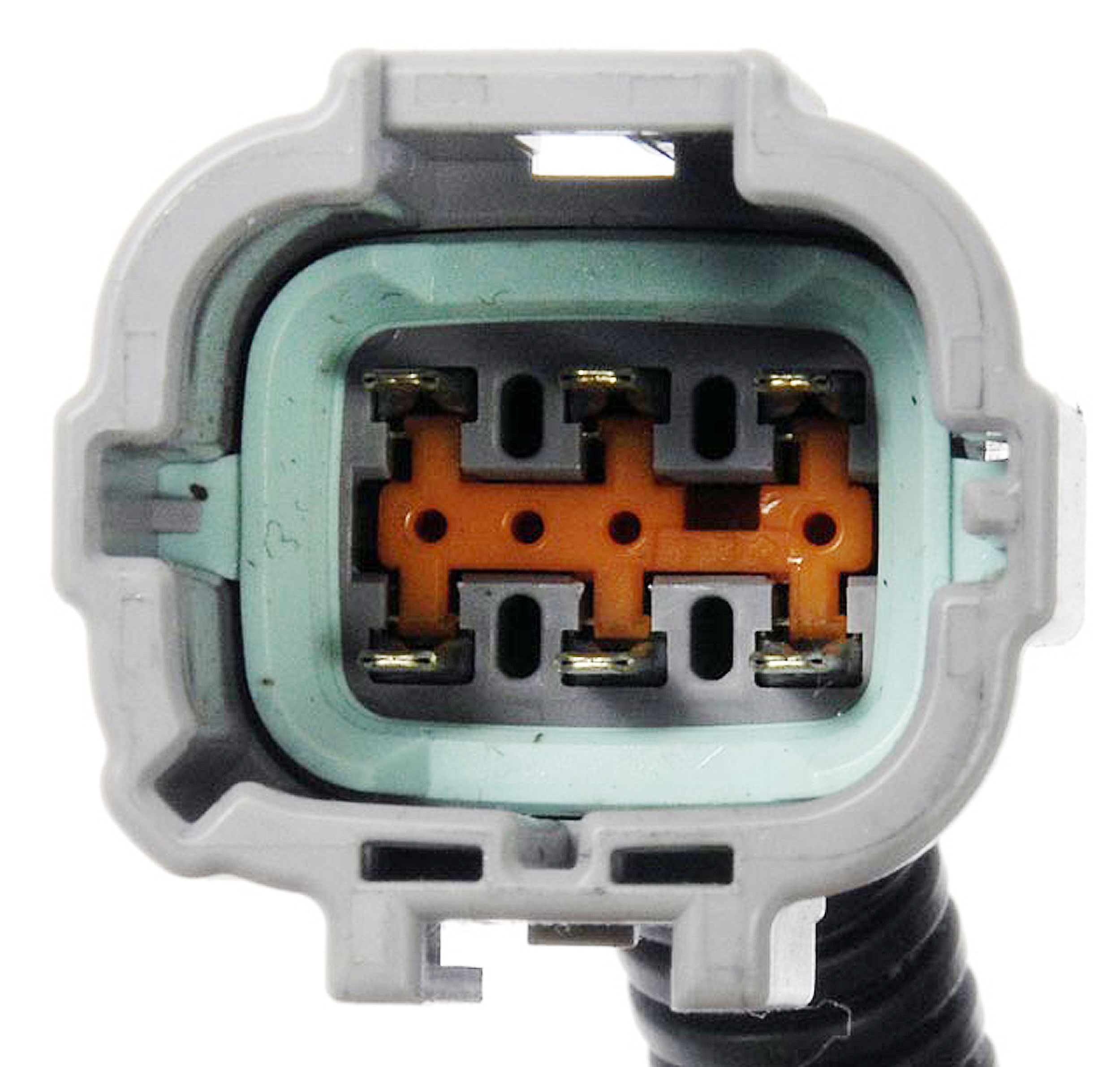 Large apdty 859636 x1 n 2