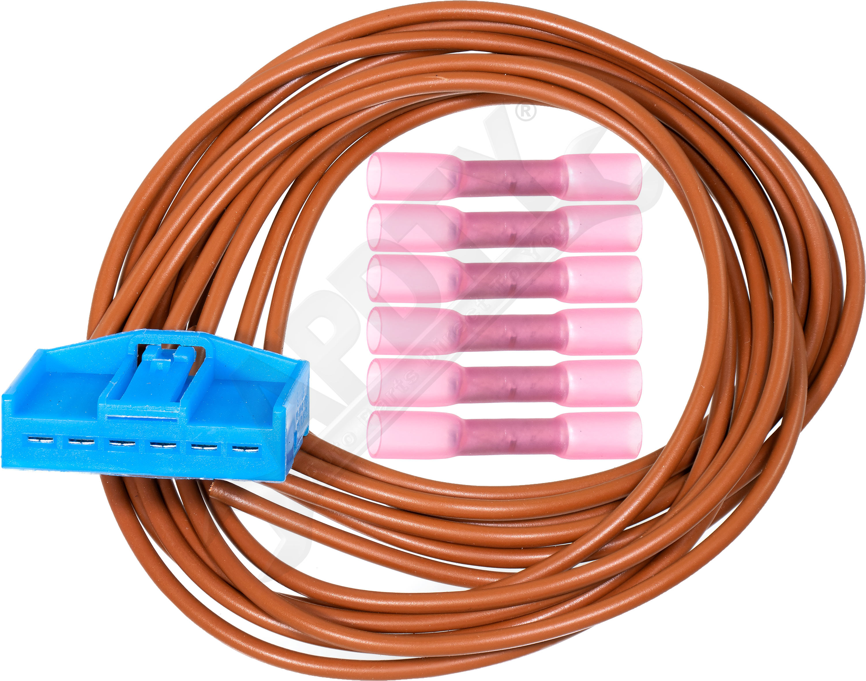 Large apdty 137596 x1 o 1