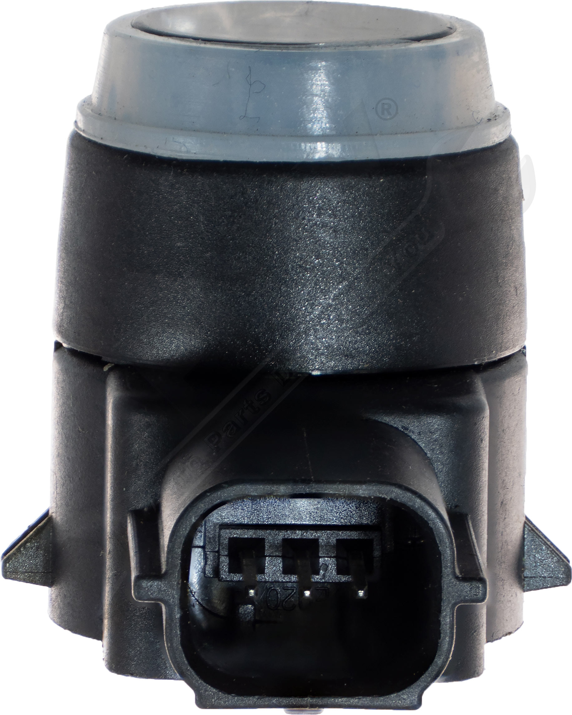 Large apdty 795118 x1 o 2