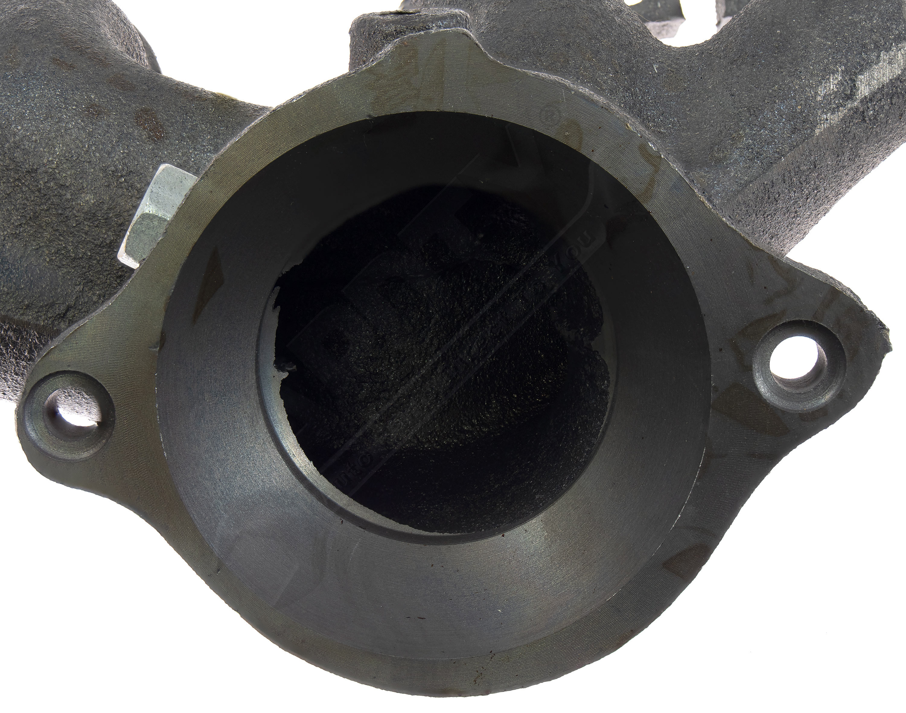 Large apdty 112509 x1 o 3