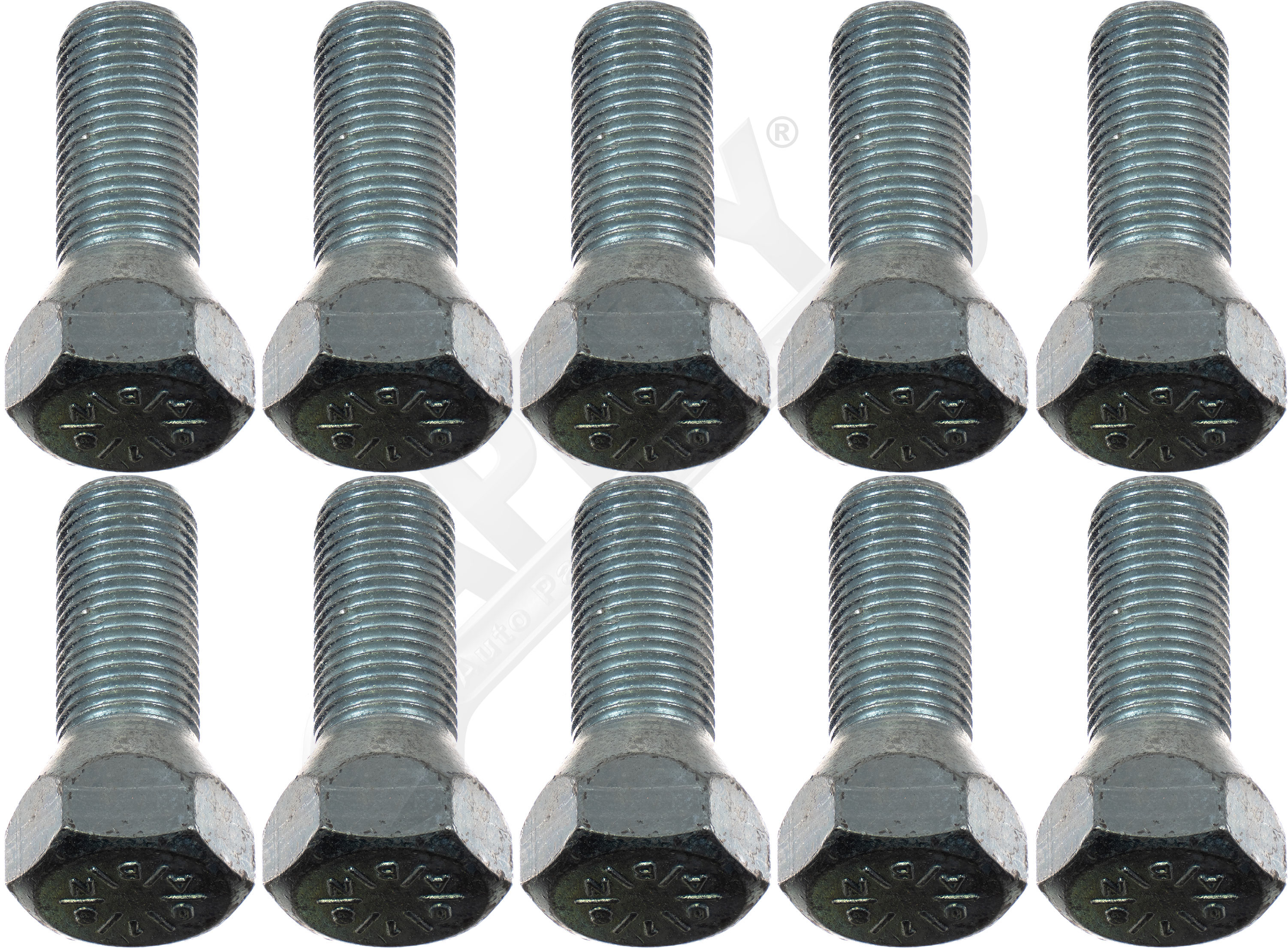 Large apdty 721129 x1 o 1