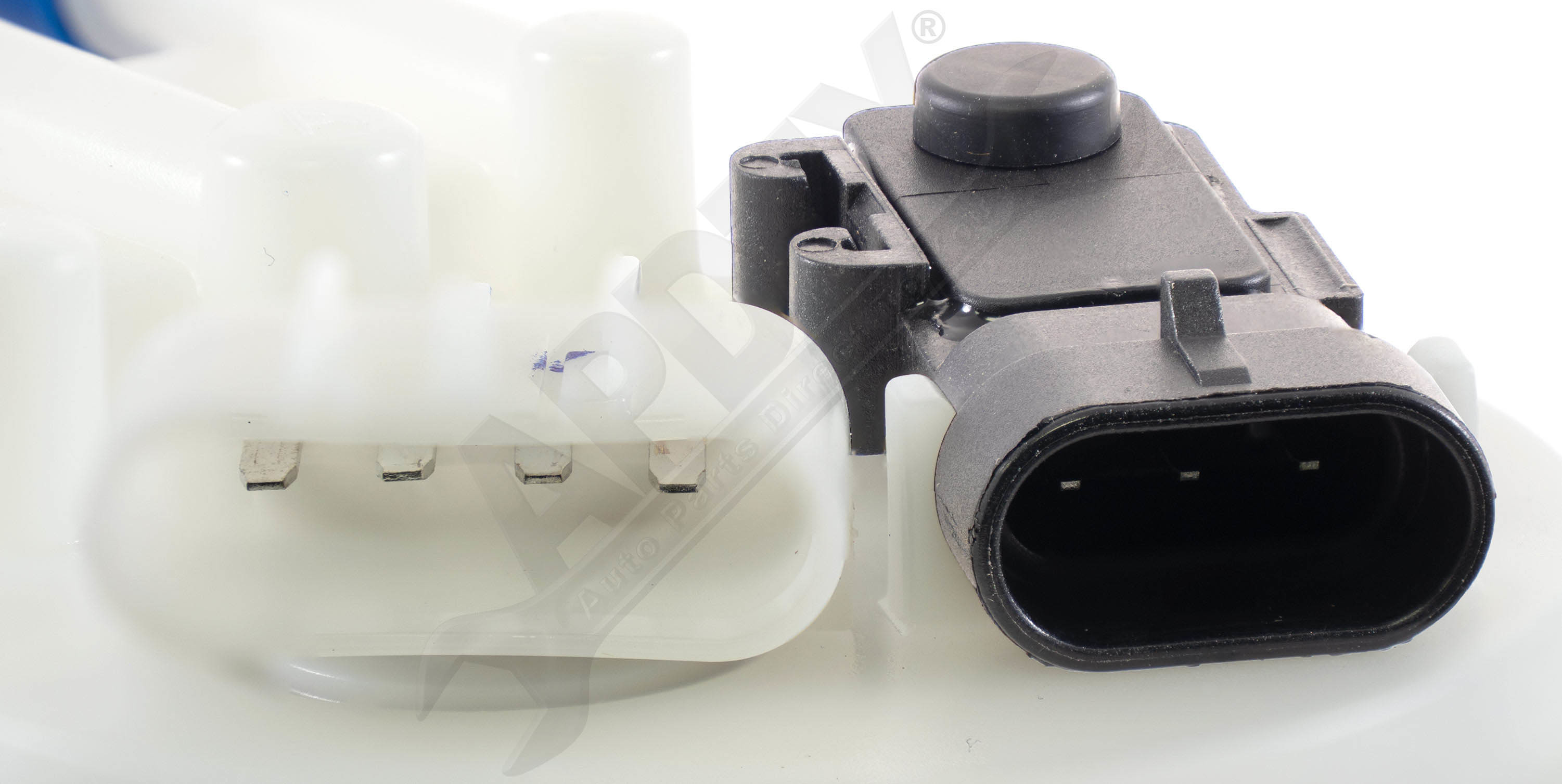 Large apdty 19180091 x1 o 2