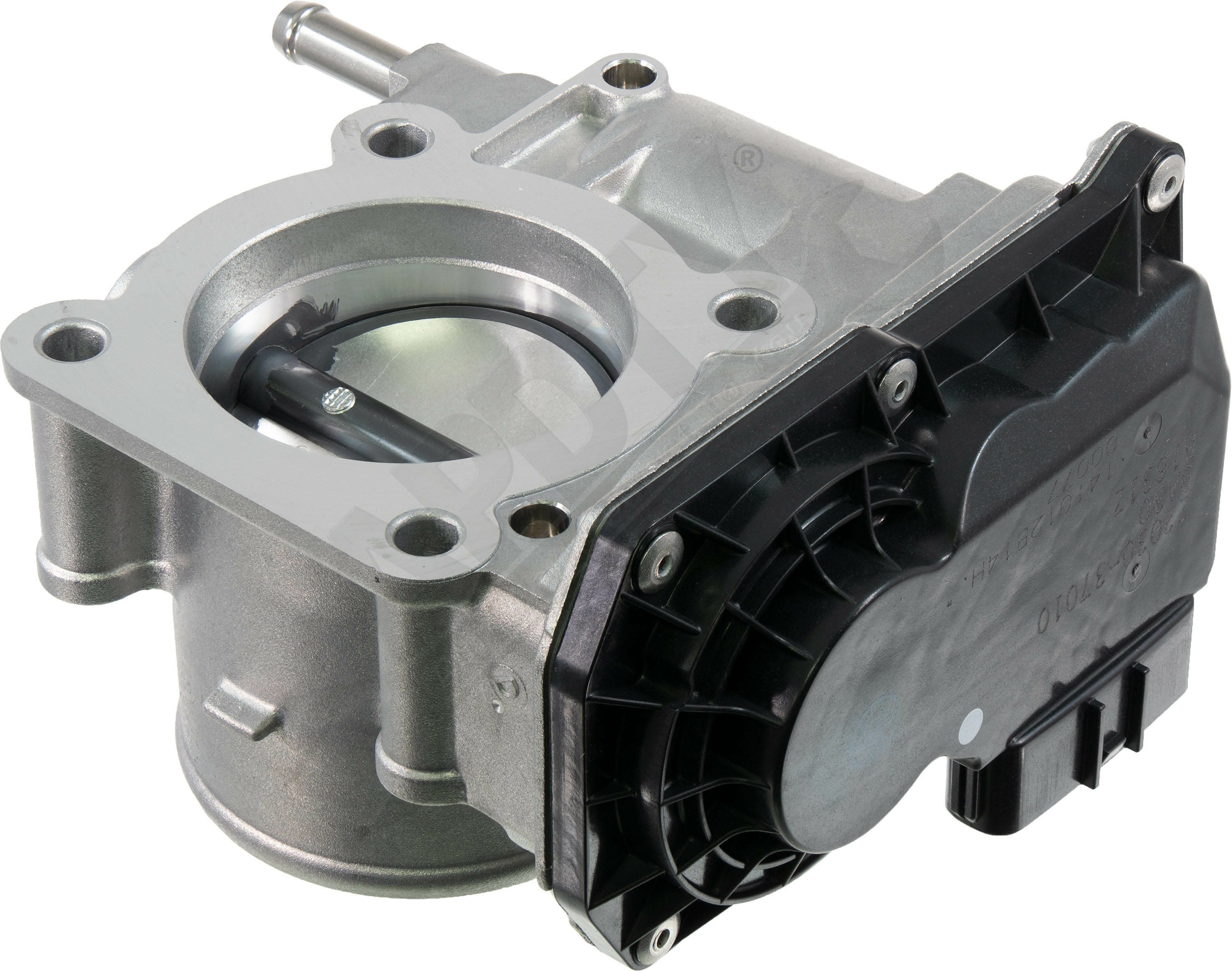 Large apdty 112737 x1 o 2