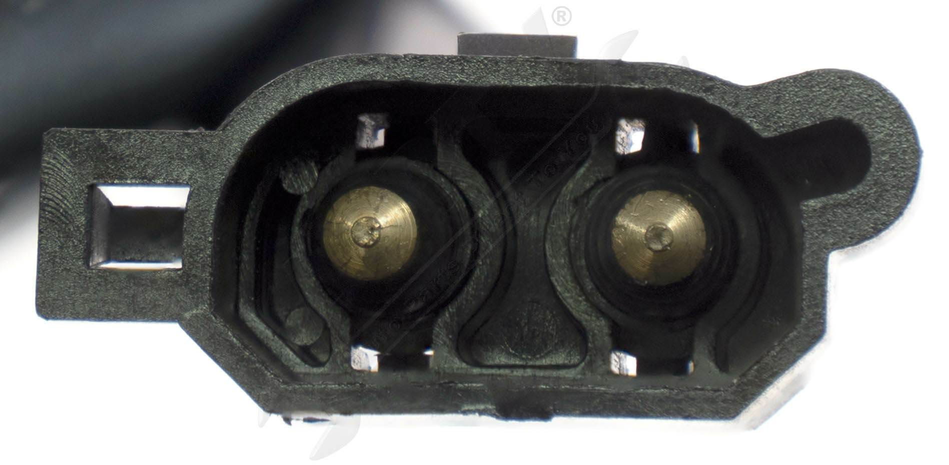 Large apdty 731992 x1 o 3
