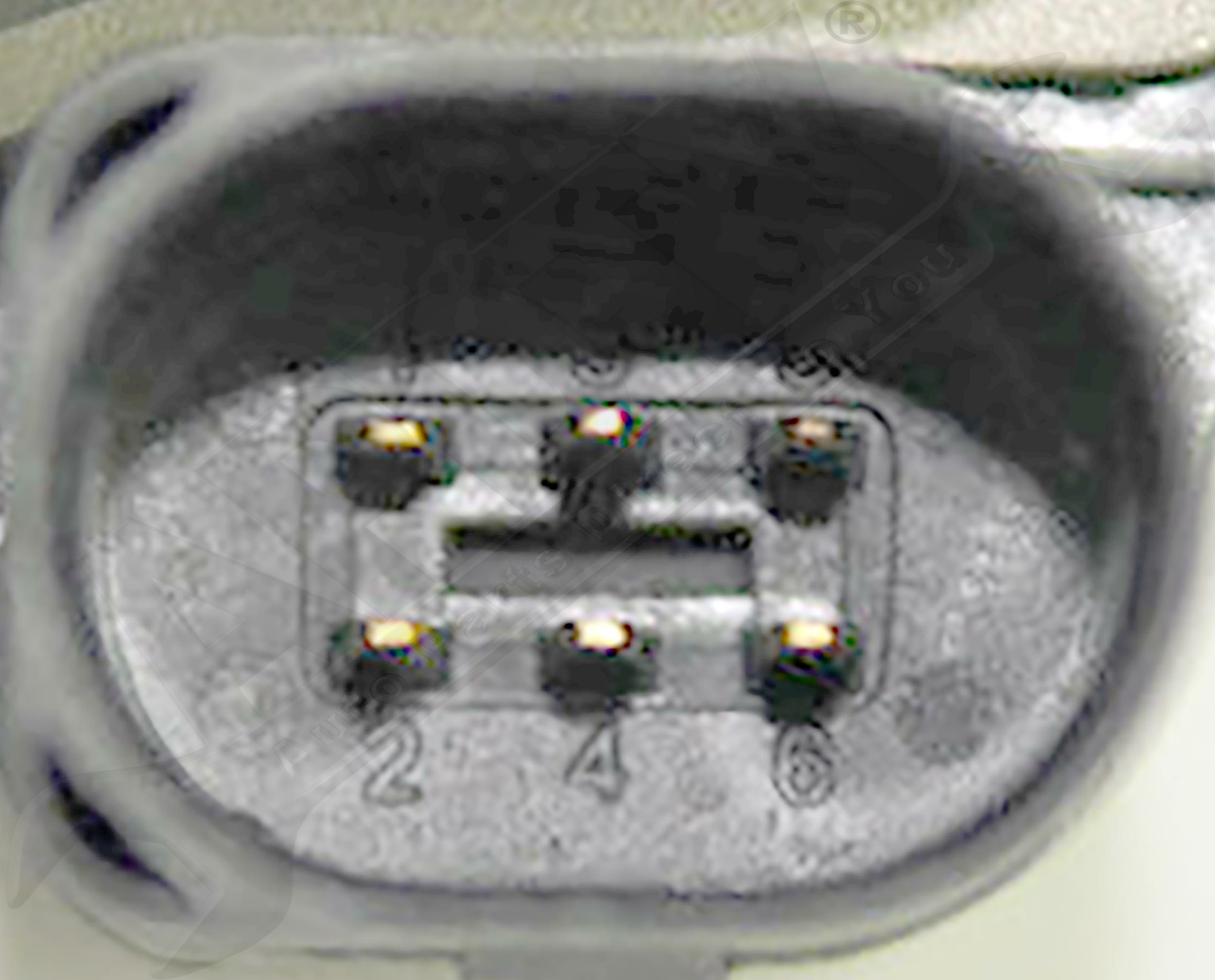 Large apdty 133863 x1 o 2