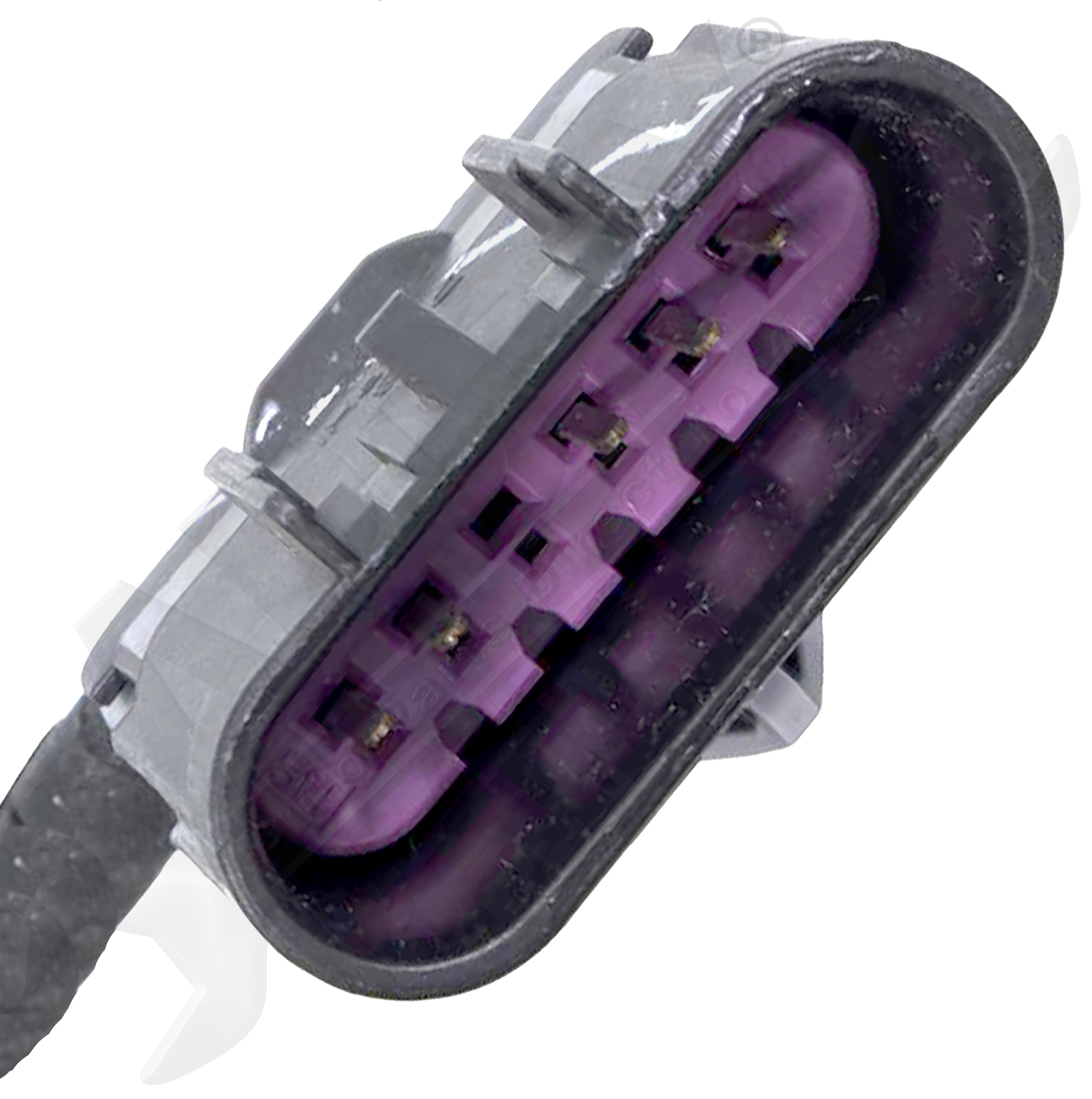 Large apdty 20919953 x9 o 2