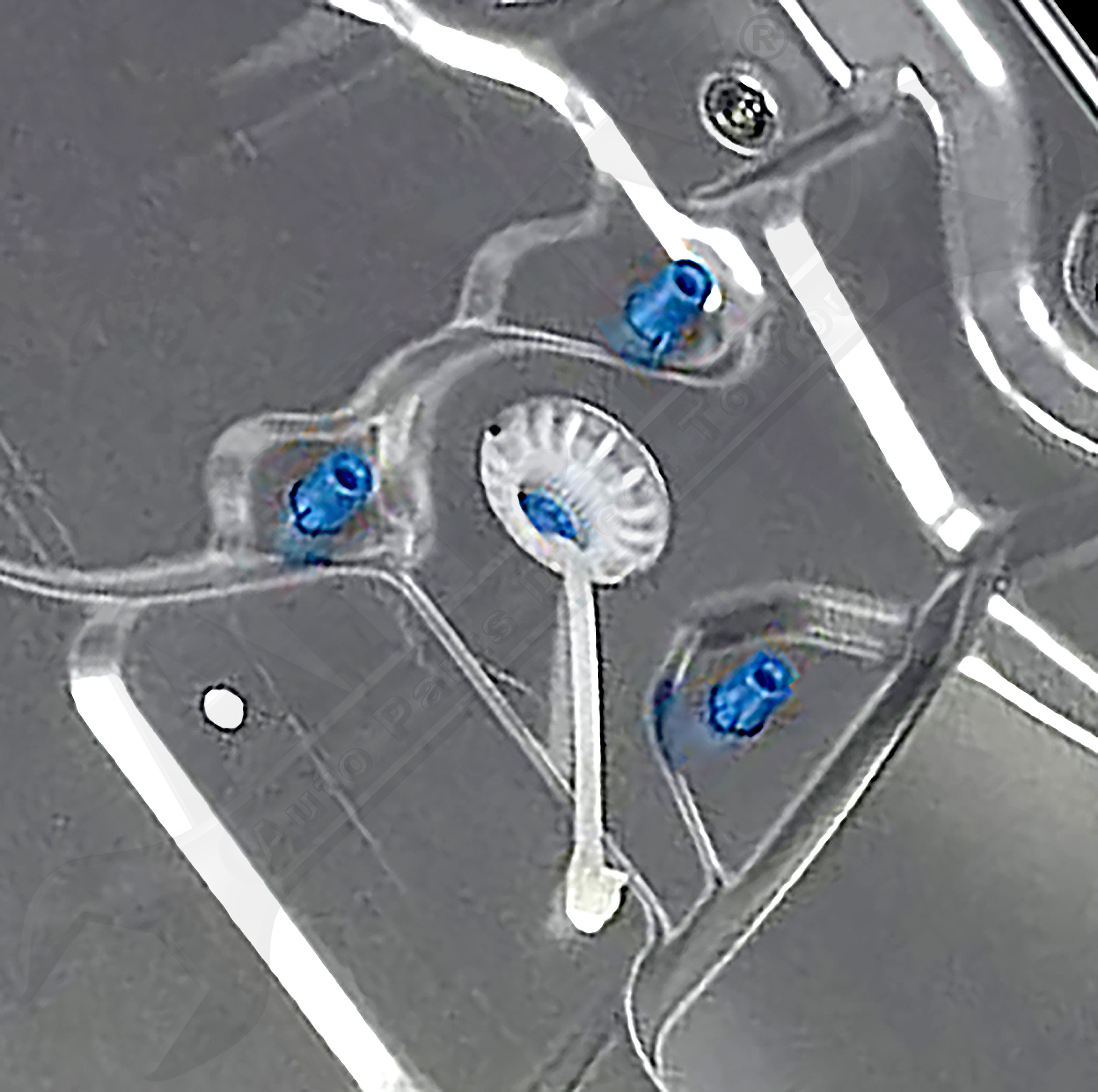 Large apdty 850641 x9 o 4