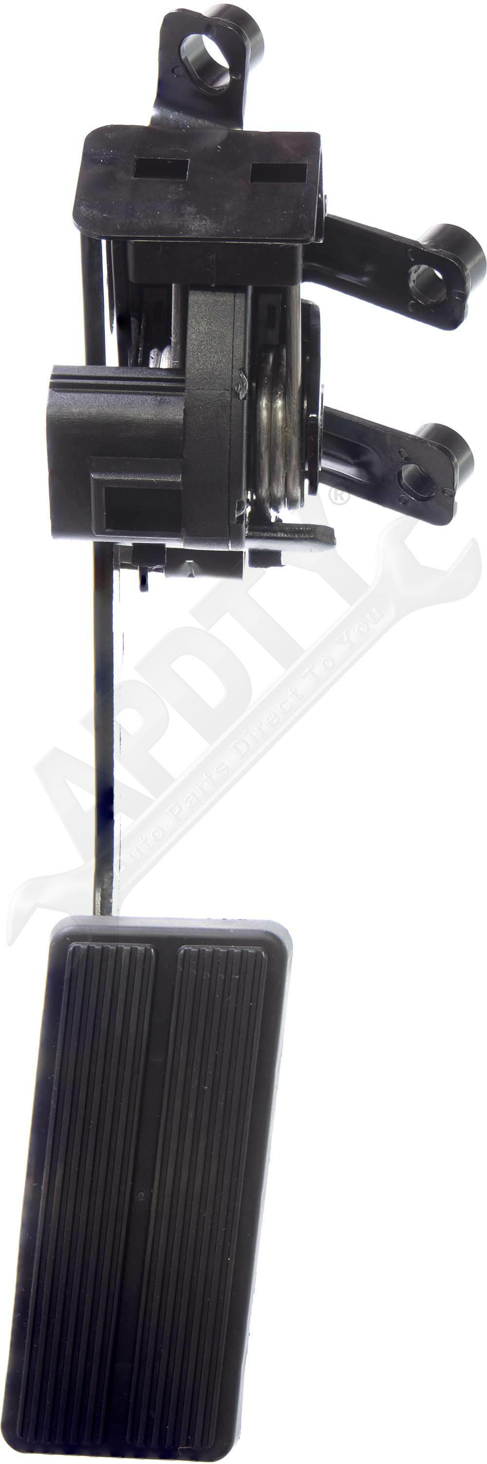 Large apdty 700316 x1 o 2