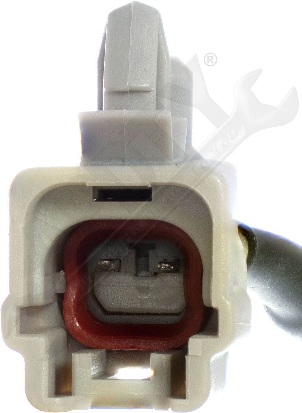 Large apdty 081100 x1 o 3