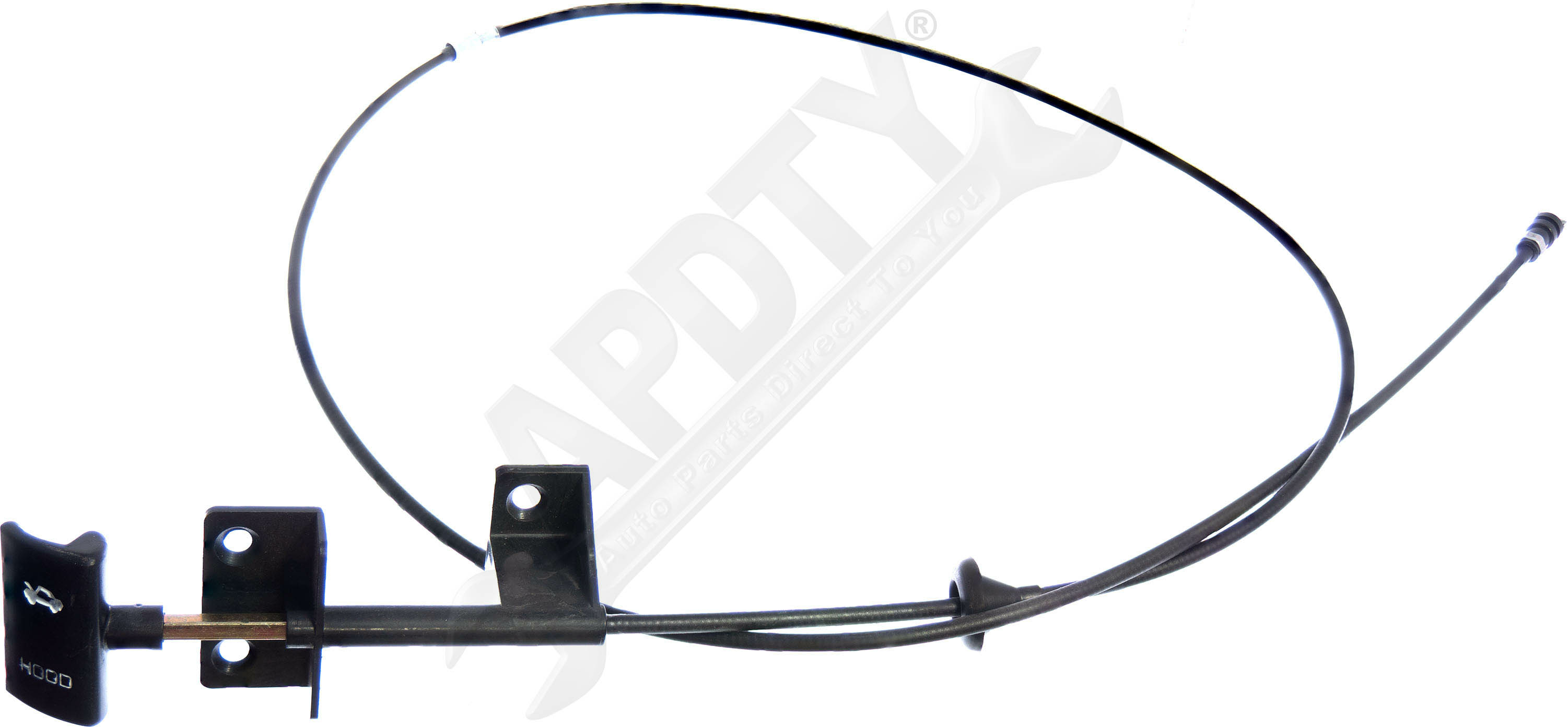 Large apdty 023119 x1 o 1