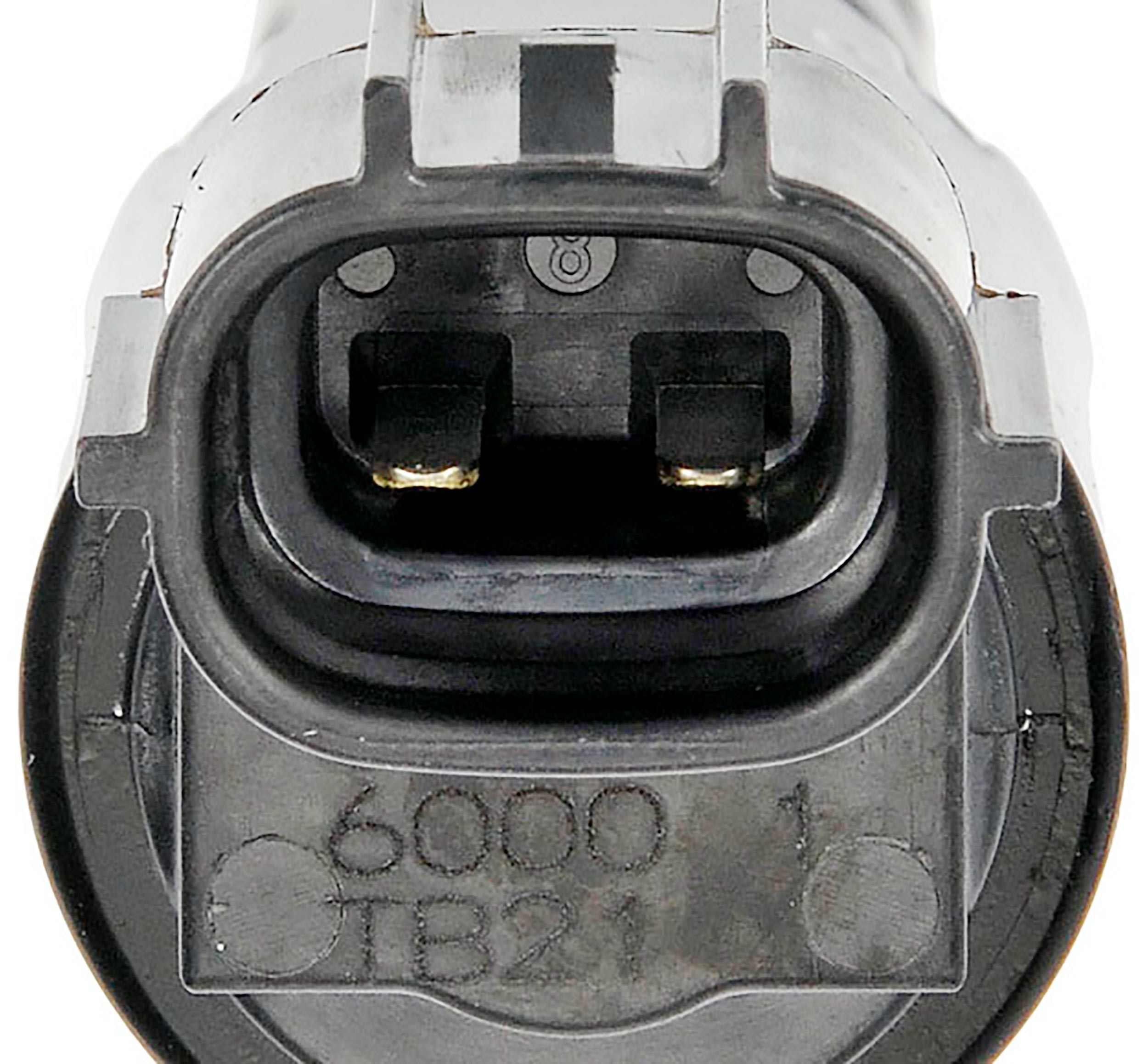 Large apdty 135588 x1 n 2