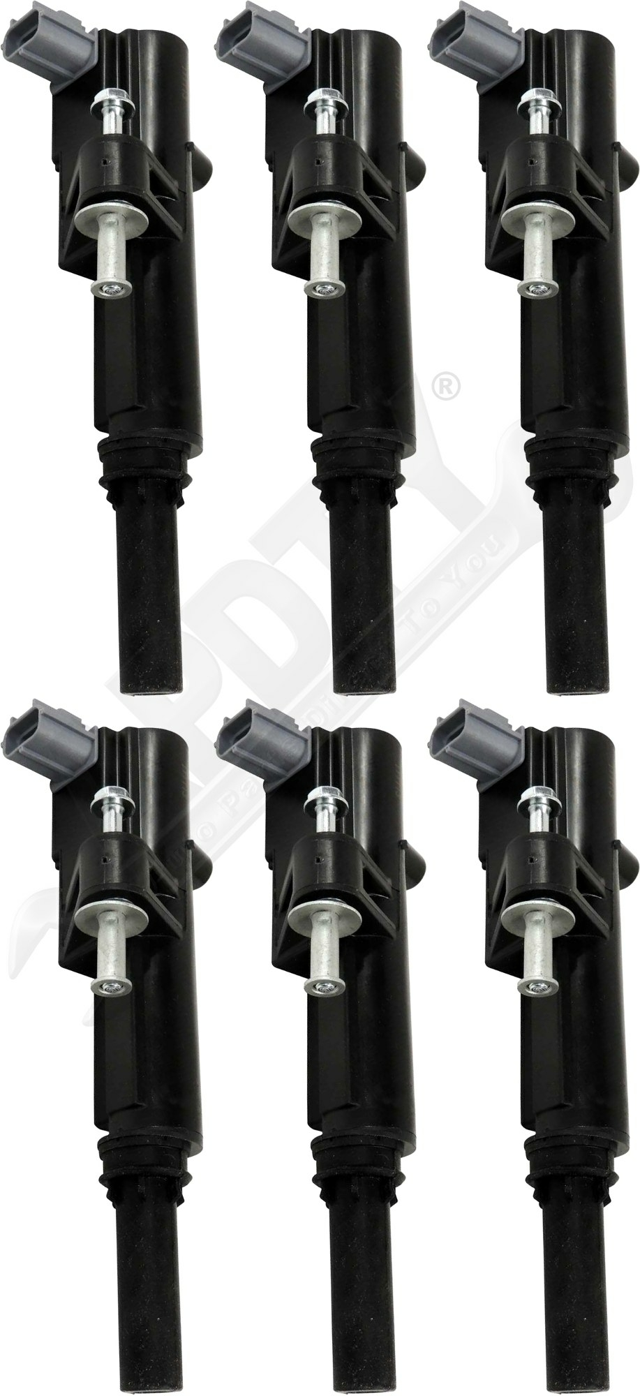 Large apdty 170845x6 x9 o 1