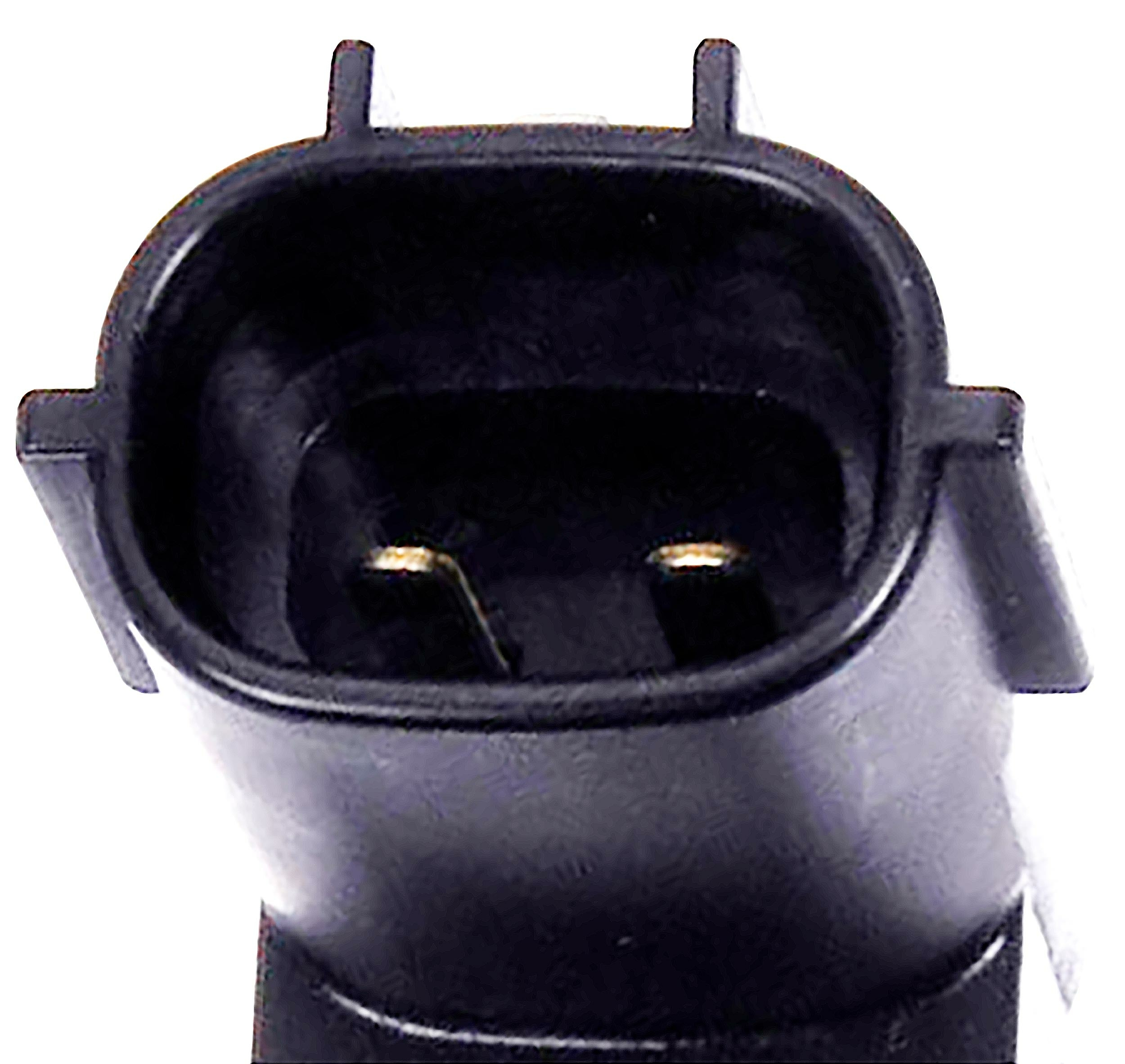 Large apdty 135586 x1 n 2